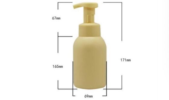Customized Plastic Cleanser Bottles 300ml PE Bottle with Foam Pump